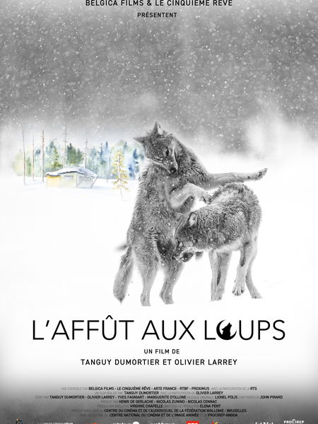 Une année parmi les Loups - Affiche VF 81_ ©Droits réservés