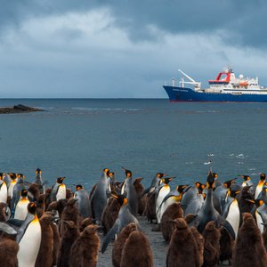 Marins des glaces - RV Photo 1 ©Droits réservés